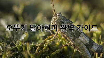 오뚜기 발아현미: 완벽 가이드